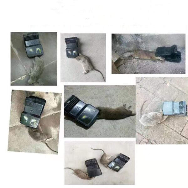 Ratoeira Mecânica Armadilha para Ratos Camundongos - Imagem 5