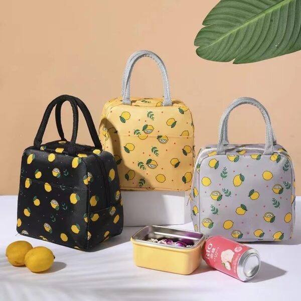 Bolsa Térmica Fitness Marmita Viagem Nécessaire Eco Moda enviar cor aleatória - Imagem 4